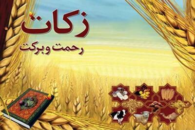چرا اسلام بر زکات اینقدر تأکید کرده است؟