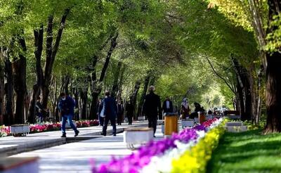  خیابان «چهارباغ» اصفهان در دوران قاجار؛ سال ۱۲۸۰ + عکس