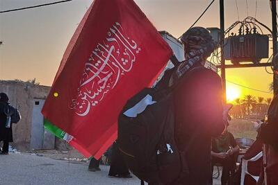  امام جمعه باغملک: هرکس با امام حسین باشد در ثواب شهدای کربلا شریک است - تسنیم