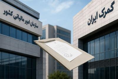 سازمان مالیاتی: مالیات کولبری و ملوانی در برخی گمرکات وصول نمیشود - تسنیم