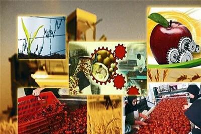 انتقاد رئیس کمیسیون کشاورزی مجلس از سهم ناچیز کشاورزی در بودجه - تسنیم