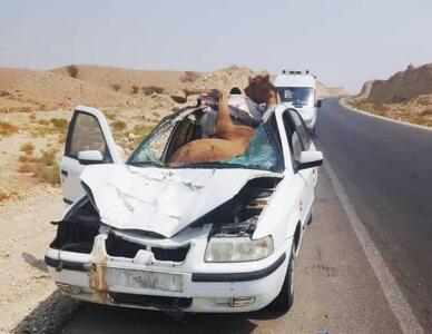  یک فوتی و سه مصدوم بر اثر تصادف سمند با شترها