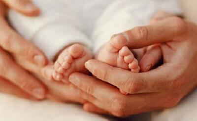 پرداخت ۷۱۳ میلیارد ریال هزینه درمانی زوجهای نابارور مازندران