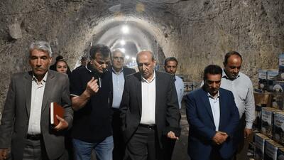 صادرات ۴۵۰ تن پنیر لیقوان به اروپا و آمریکای شمالی