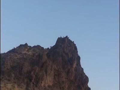 صخرهنوردی بزهای وحشی در ارتفاعات قزوین