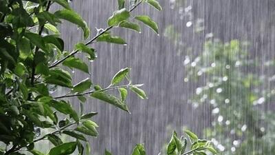  هشدار رگبارهای پراکنده در مناطق شمالی آذربایجان غربی