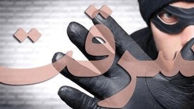  دستگیری باند سارقان خشن در زنجان