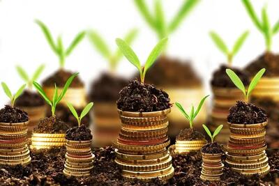 پرداخت تسهیلات بر مبنای ۲۵ درصد درآمد دانش‌بنیان