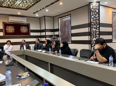 برگزاری نشست کمیته تخصصی مشارکتهای اجتماعی در یزد