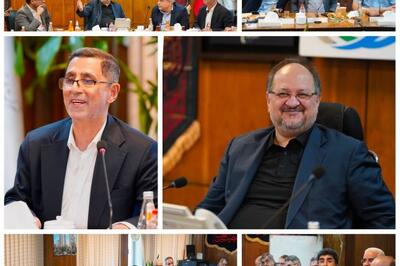 تأکید مدیرعامل هلدینگ خلیجفارس بر تسریع در اجرای پروژههای تأمین برق شرکتهای آسیبدیده با مشارکت مپنا