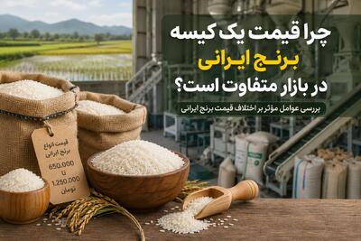 چرا قیمت یک کیسه برنج ایرانی در بازار گاهی تا چند صد هزار تومان اختلاف دارد؟
