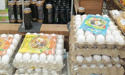 گرانی عجیب تخممرغ؛ شانهای ۶۰۰ هزار تومان!