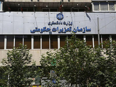 آغاز طرح برخورد با گران فروشی و احتکار/ بازارهای تهران زیر ذره بین 1000 بازرس قرار گرفت