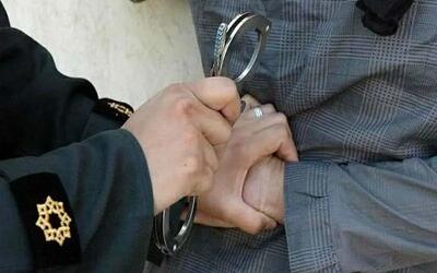 دستگیری ۱۵ سارق در چابهار/ کشف ۲۷ فقره سرقت در طرح ضربتی پلیس