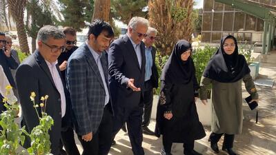  تالاب هامون در کانون برنامه‌های رئیس سازمان حفاظت محیط زیست به سیستان و بلوچستان