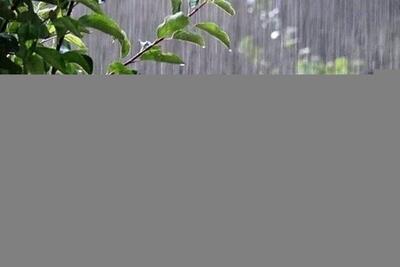  رگبار باران، تگرگ و تندباد لحظه‌ای در راه هرمزگان