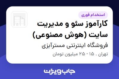 استخدام کارآموز سئو و مدیریت سایت (هوش مصنوعی) - خانم در فروشگاه اینترنتی مسترآبزی
