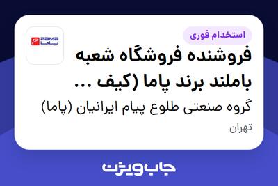 استخدام فروشنده فروشگاه شعبه باملند برند پاما (کیف و کفش) در گروه صنعتی طلوع پیام ایرانیان (پاما)