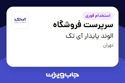  استخدام سرپرست فروشگاه در الوند پایدار آی تک