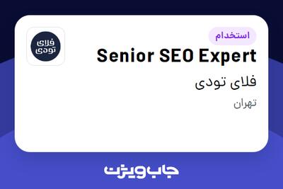  استخدام Senior SEO Expert در فلای تودی