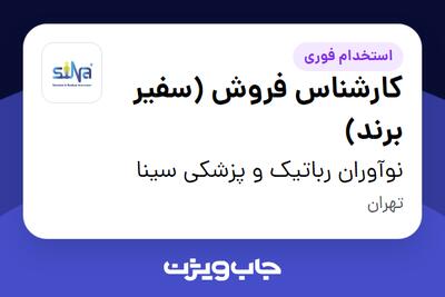  استخدام کارشناس فروش (سفیر برند) - خانم در نوآوران رباتیک و پزشکی سینا