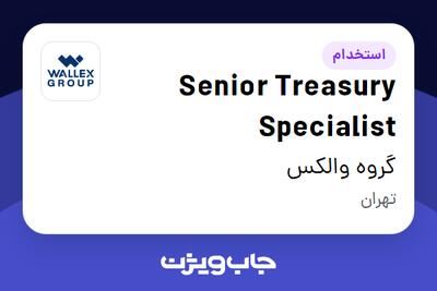 استخدام Senior Treasury Specialist در گروه والکس