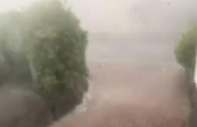  فیلم/ یک کشته و چندین زخمی در پی طوفان شدید در آلمان
