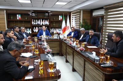  تأکید بر تدوین بسته سیاستی ادغام، توسعه یا انحلال شرکت‌ها با رویکرد سودآوری و تکمیل زنجیره ارزش