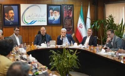 تأکید مدیرعامل هلدینگ خلیجفارس بر تسریع در اجرای پروژههای تأمین برق شرکتهای آسیبدیده با مشارکت مپنا