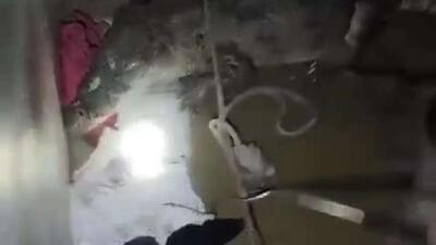 کشف تمساح 2 متری در حمام یک خانه در گجرات هند