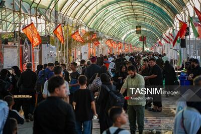 در امتداد جاده عاشقی - تسنیم