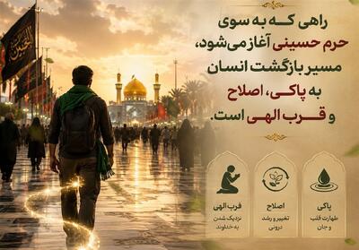 استقبال ملائک از زائران قبر امام حسین (ع) - تسنیم