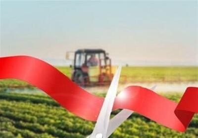 میانگین زمان صدور مجوزهای کشاورزی به 35 روز کاهش یافت - تسنیم