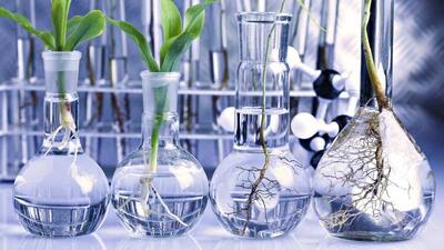  دعوت از سرمایه‌گذاران برای سرمایه‌گذاری طرح‌های منتخب رویداد ملی «اینوفارم» 