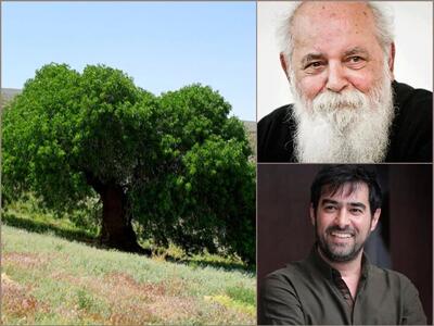 تاریخنگاران خاموش ایران؛ روایت ۲۰ سال عشق به درختانی که حرف میزنند
