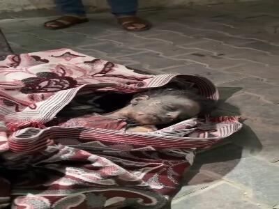 حملات صهیونیستها به غزه؛ ۸ فلسطینی از جمله ۲ کودک شهید شدند