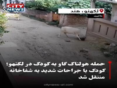  حمله هولناک گاو شاخ دار به یک کودک در هند