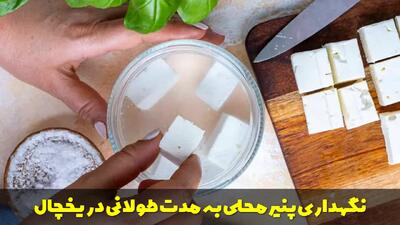  روش نگهداری پنیر محلی به مدت طولانی در یخچال با حفظ طعم