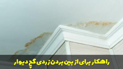 راهکار برای از بین بردن زردی گچ دیوار + علت زرد شدن گچ دیوار