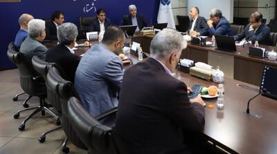 شستا بهدنبال همافزایی با کارفرمایان؛ سعیدی از همکاری راهبردی خبر داد