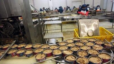  برآورد کاهش ۲۰ درصدی تولید کنسرو ماهی