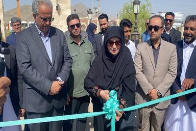 نخستین ناوگان تاکسی برقی در زاهدان راهاندازی شد