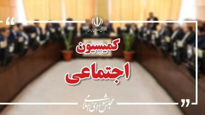 کمیسیون اجتماعی مصوبه دولت را درباره نیروهای شرکتی بررسی میکند