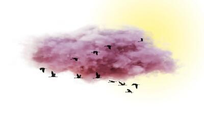  وضعیت هوای فردا فارس و شیراز دوشنبه ۱۲ مرداد ۱۴۰۵ | پیش بینی آب و هوا شیراز در ۲۴ ساعت آینده + هواشناسی شیراز