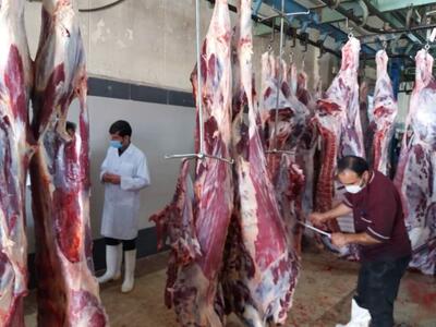 معاون وزیر جهادکشاورزی: واردات قبض انباری گوشت راهگشای مدیریت بازار است