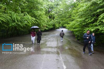 رگبار باران در ۹ استان نوار شمالی کشور