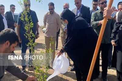 بازدید معاون رئیس جمهور از پارک جنگلی زاهدان