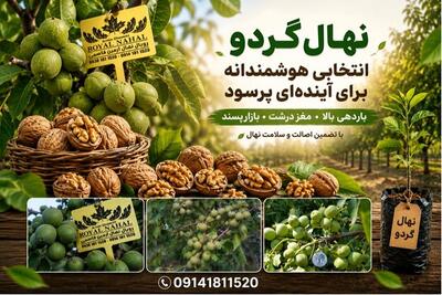 نهالهای میوه پربازده و اقتصادی در ایران؛ راهنمای انتخاب برای سرمایهگذاری باغی