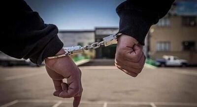 سارق جیببر تلفن همراه در مرکز تهران دستگیر شد | جهان نیوز