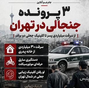  سه پرونده جنجالی در تهران/از سرقت میلیاردی پسر تا کلینیک جعلی دوبرادر
